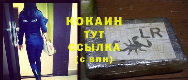 шишки Абинск