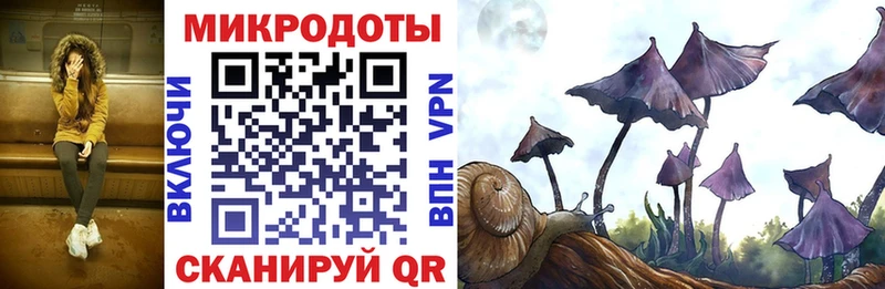 Галлюциногенные грибы Cubensis  Чита 
